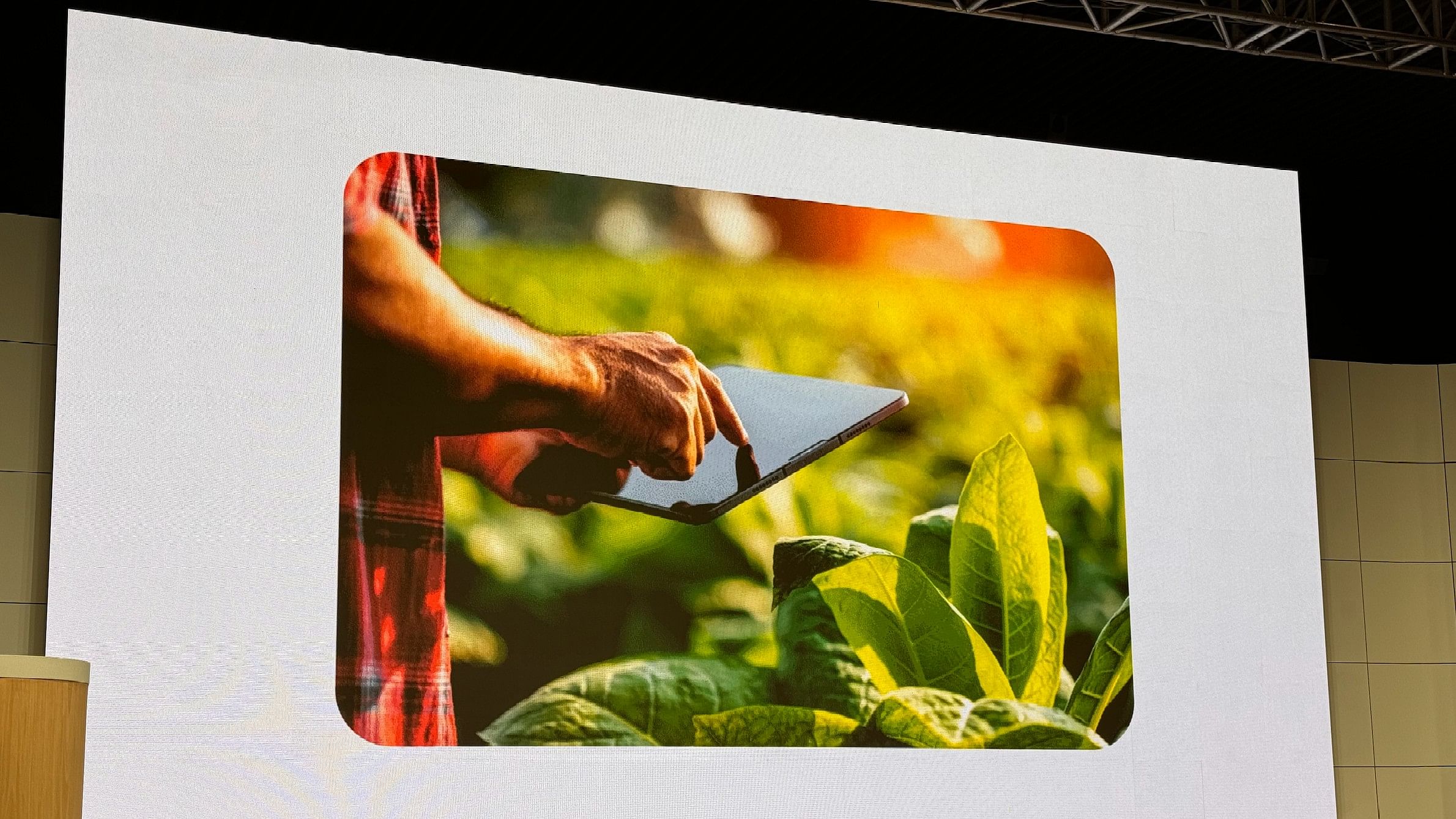 <div class="paragraphs"><p>Google will soon launch the new ALU tool to help farmers get good yield from crops in India.</p></div>